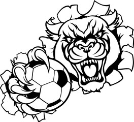 A panther cougar or jaguar cat animal sports mascot holding soccer football ball breaking through the background with its claws