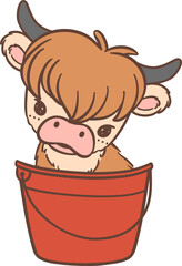 Baby Highland cow in bucket 