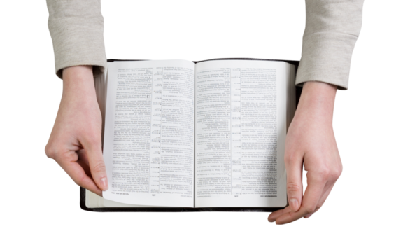 woman hands on bible. she is reading and praying over bible