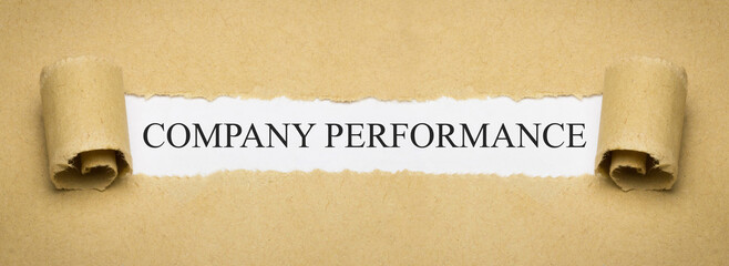 Company Performance