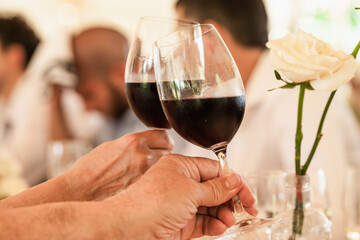 senior couple celebrating