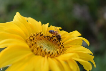 Summer in Germany Hessia Werra-Mei&szlig;ner-Kreis