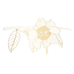 Naklejka premium Line golden illustration of a beautiful camelia flower with leaves. Hand-drawn camellia branch with buds and leaves.