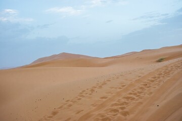 Fototapeta na wymiar Sand dunes during sunset in Erg Chebbi desert, near Merzouga, Sahara Desert, in Morocco.