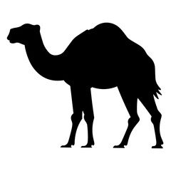 Silhouette Illustration of Camel. Vector SVG