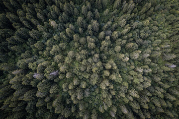 Aerial view of a deep forest in Brdo, Bosnia and Herzegovina.
