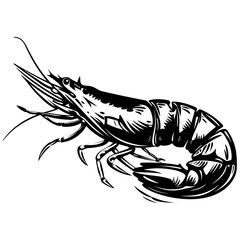 Vector Illustration of Shrimp in Trendy Flat Isolated on White Background.