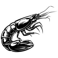 Vector Illustration of Shrimp in Trendy Flat Isolated on White Background.