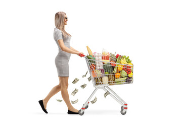 Young woman pushing a shopping cart with food products and money falling