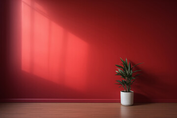 An empty red room with a plant