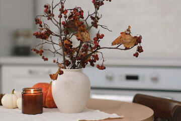 Autumn home interior- light cozy kitchen with ceramic vase and dry berries branches, burning candle, pumpkin, linen napkin on round wooden table