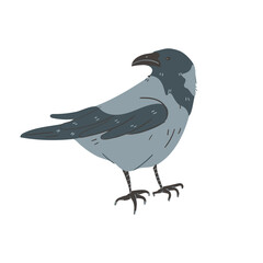 Wintering bird wildlife