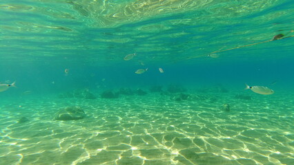 Underwater world on Crete in October 2023