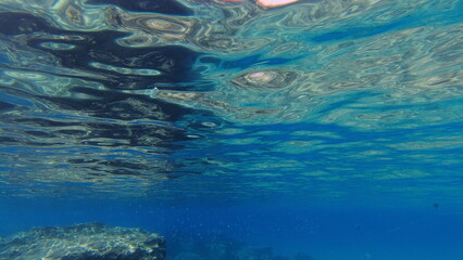 Fototapeta na wymiar Underwater world on Crete in October 2023