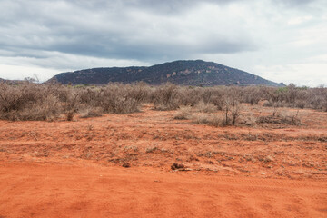 Savannah grassland landscapes with acacia trees and mountains in Tsavo East National Park, Kenya