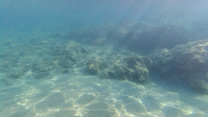 Fototapeta na wymiar Underwater world on Crete in October 2023