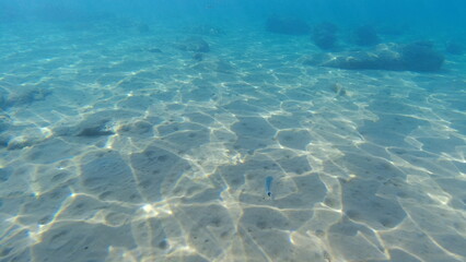 Underwater world on Crete in October 2023