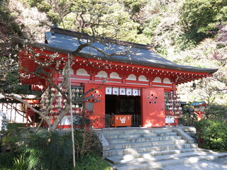梅が咲く受験シーズンの荏柄天神社