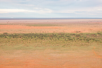 Savannah grassland landscapes with acacia trees and mountains in Tsavo East National Park, Kenya