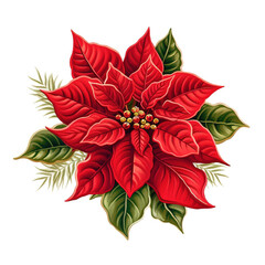 Vivid Poinsettia Illustration for the Holidays Isolated on White Background