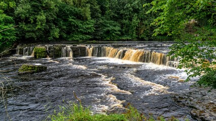 there is a waterfall in the woods by the water's edge