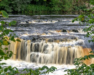 Obraz premium small waterfall flowing through trees in a wooded area during the day