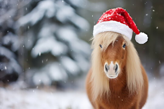 Cute little festive horse wearing a Father Christmas santa hat