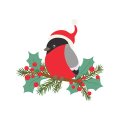 Illustration bullfinch in a Santa Claus hat on branch with fir branches and holly jolly.