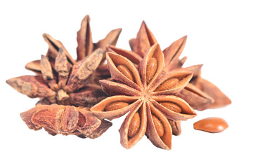 Star anise isolated on white background