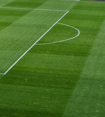 Close-up to part of the grass football field prepared for a league match on a sunny autumn day, Lodz, Poland.