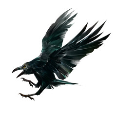 a graphically drawn colored raven bird in flight - 667588289