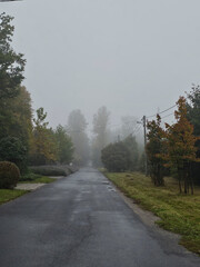 Street near the Julianowski Park in Lodz in a rainy and foggy autumn morning, Lodz, Poland.