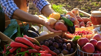 The farmer sells fruits and vegetables at the farmers market. Selective focus. - Powered by Adobe