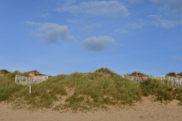 Dune herbeuse en bord de mer