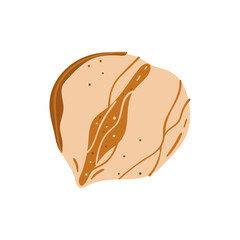 Spice ingredient food aroma herb