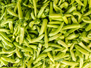 pepper, chili, chili pepper, plant, yellow, capsicum, vegetable, peppers, chilli, hot, yellow chili pepper, green chili pepper plant, green, africa, algeria, agriculture, closeup, organic, harvest.
