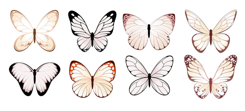 A set of light butterflies on a white background.
