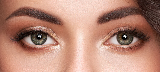 Beautiful female eyes with long eyelashes - obrazy, fototapety, plakaty