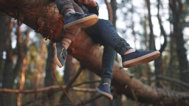 children sitting on a tree in the park. happy family childhood dream concept. children dangle their legs while sitting resting on a fallen tree trunk in the forest lifestyle in the park
