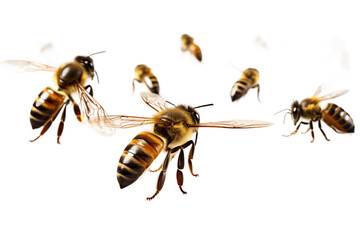 Swarm of Bees Isolated on transparent background, PNG - obrazy, fototapety, plakaty