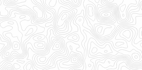 seamless pattern and topography map and counter map. abstract sea map area space geomatices line technology topo landscape grid map texture.	
