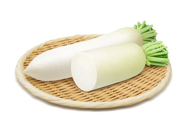 大根 イラスト リアル