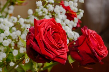 Closeup of a bouquet of red roses