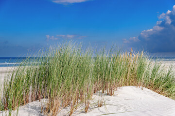 Beach on Juist, East Frisian Islands, Germany.