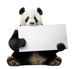 Cute panda bear holding big blank banner ready for text - transparent background PNG