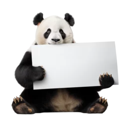 Poster Cute panda bear holding big blank banner ready for text - transparent background PNG © 123dartist
