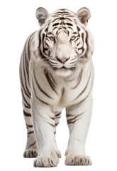  white tiger isolated on white - transparent background PNG © 123dartist