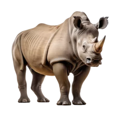 Poster rhino isolated on white - transparent background PNG © 123dartist