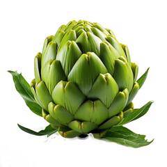 Appetizing vegetable artichoke, Isolated On Transparent, PNG	
