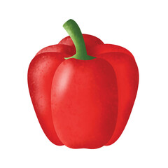 Free vector illustration red paprica hand draw clipart